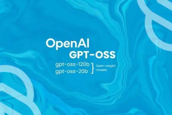 How to install GPT-suns on who do not need the Internet