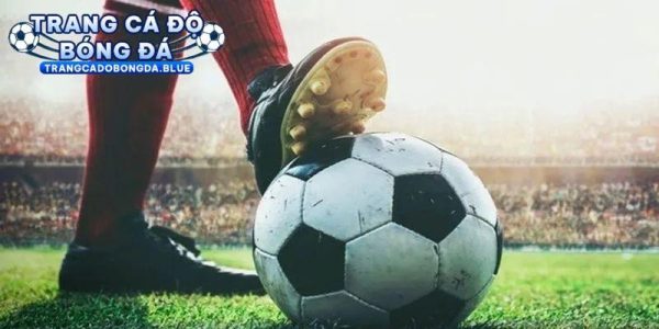 Kinh nghiệm bắt kèo chuẩn từ cao thủ lâu năm