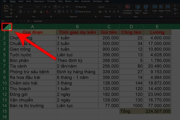 Nhấn vào biểu tượng hình tam giác