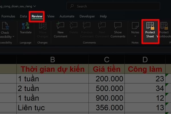 Vào chức năng Protect Sheet