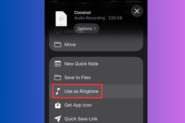 Cách cài nhạc chuông trên iOS 26 không cần GarageBand 12 Chi tiết cách cài nhạc chuông trên iOS 26