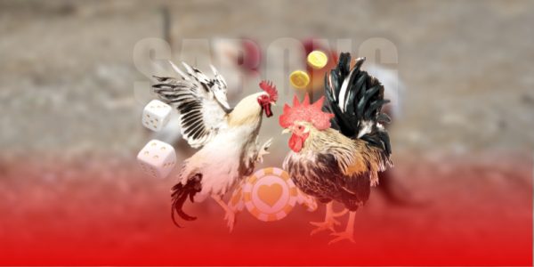 Thành viên cần tìm hiểu kỹ thông tin chiến kê trước khi quyết định đặt cược