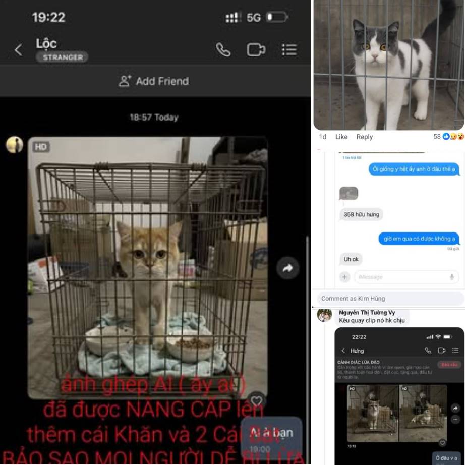 Cảnh giác: Dùng AI "tạo ảnh đã tìm thấy" thú cưng/đồ thất lạc để đòi tiền chuộc 6 dung ai lua dao tim meo that lac