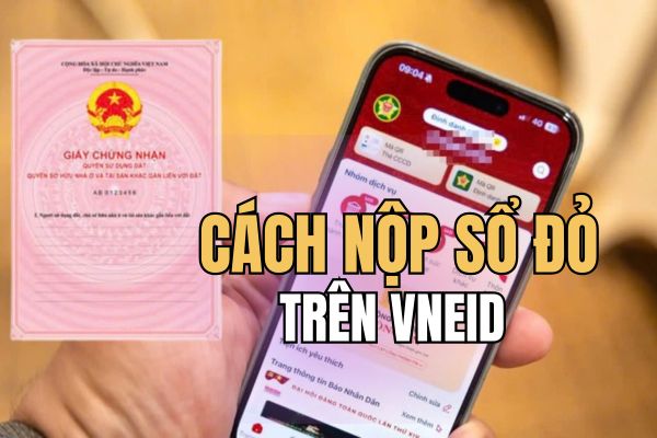 Detailed instructions on how to submit red books on VNeID right at home