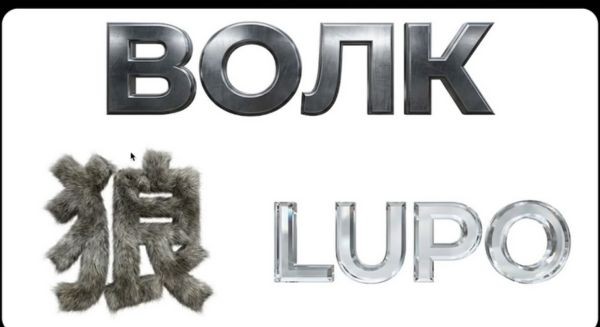 Viết chữ "WOLF" (Sói) bằng các ngôn ngữ và chất liệu khác nhau
