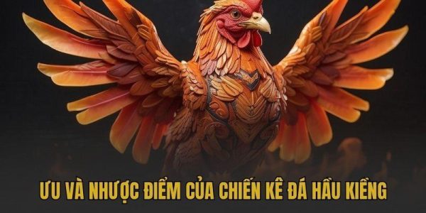 Ưu và nhược điểm của chiến kê đá hầu kiềng