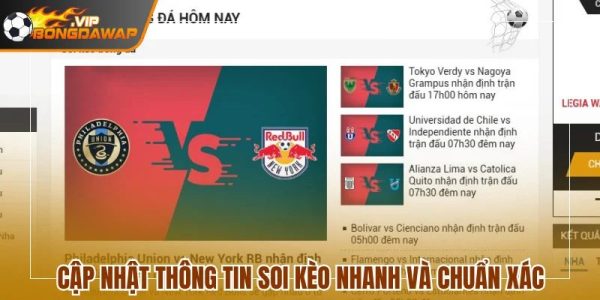 Nhà cái uy tín mang tên Wap hiện nay