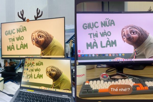 Giải mã sức hút của trào lưu hình nền con lười