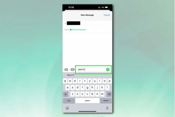 Hướng dẫn dùng iPhone theo dõi chuyến bay không cần cài app