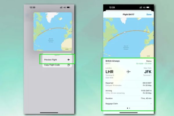 Chọn "Xem trước chuyến bay"