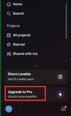 Chọn “Upgrade to Pro”