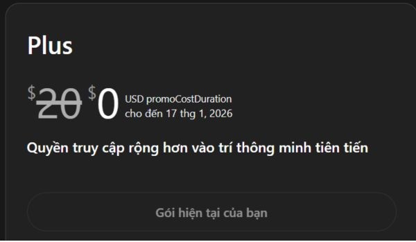 Hướng dẫn nhận ChatGPT Plus miễn phí 1 tháng thành công 100% 19 Hướng dẫn nhận ChatGPT Plus miễn phí 1 tháng thành công