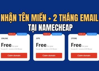 Hướng dẫn đăng ký Domain .online, .site, .store miễn phí tại Namecheap 37 Hướng dẫn đăng ký Domain .online, .site, .store miễn phí tại Namecheap 13