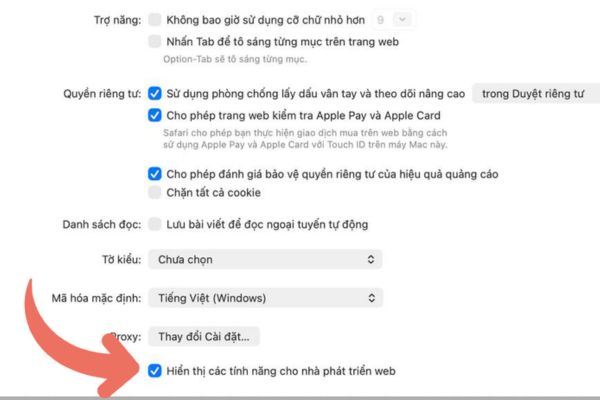 Đánh dấu vào ô “Hiển thị tính năng cho nhà phát triển web”