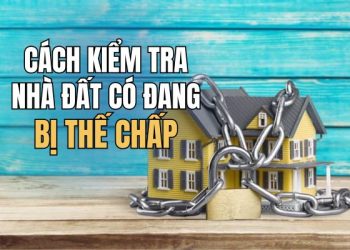 cách kiểm tra nhà đất có bị thế chấp