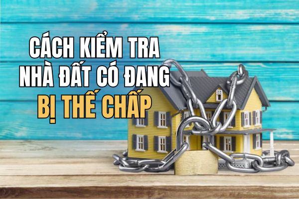 The way to check whether real estate is mortgaged online is extremely simple The way to check whether real estate is mortgaged online is extremely simple