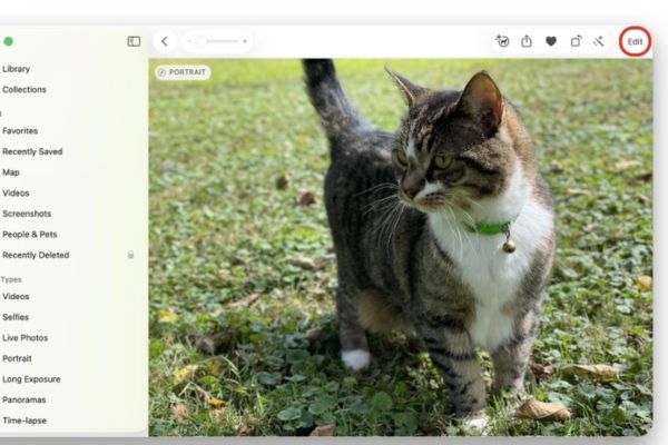Chỉnh sửa ảnh chân dung trên máy Mac