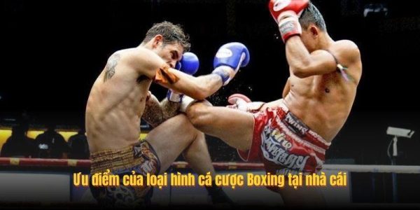 Tổng Hợp Tỷ Lệ Cược Boxing Bet168 6 Ưu điểm của loại hình cá cược Boxing tại nhà cái
