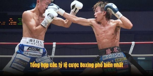 Tổng Hợp Tỷ Lệ Cược Boxing Bet168 7 Tổng hợp các tỷ lệ cược Boxing phổ biến nhất