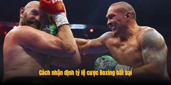 Tổng Hợp Tỷ Lệ Cược Boxing Bet168 8 Cách nhận định tỷ lệ cược Boxing bất bại