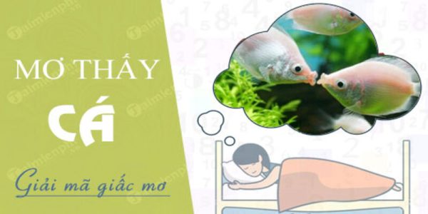 Danh sách con số may mắn liên quan đến giấc mơ thấy cá