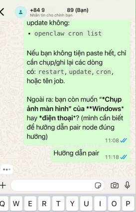 chat whatsapp openclaw