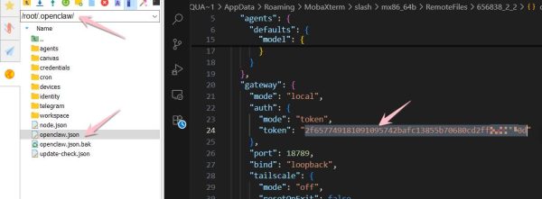 Cách lấy mã token OpenClaw trong file config json
