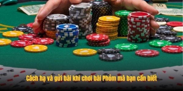 Cách hạ và gửi bài khi chơi bài Phỏm mà bạn cần biết