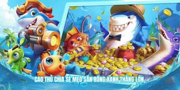Cao thủ chia sẻ mẹo săn rồng xanh thắng lớn
