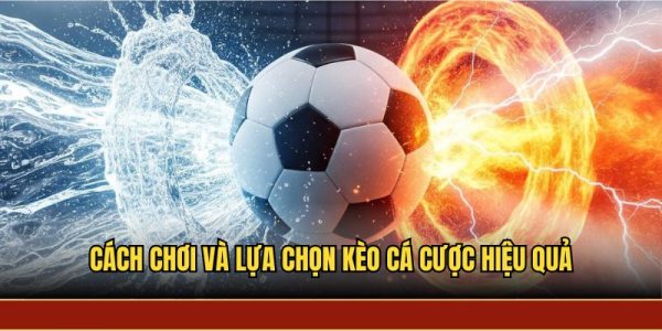 Cách chơi và lựa chọn kèo cá cược hiệu quả
