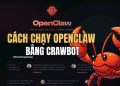 cách chạy OpenClaw bằng Crawbot