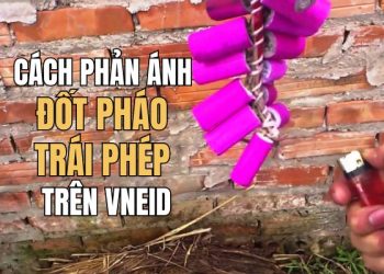Cách phản ánh đốt pháo trái phép trên VNeID 11 cách phản ánh đốt pháo trái phép trên VNeID