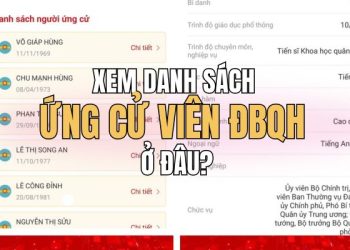 cách xem danh sách ứng cử viên ĐBQH trên VNeID