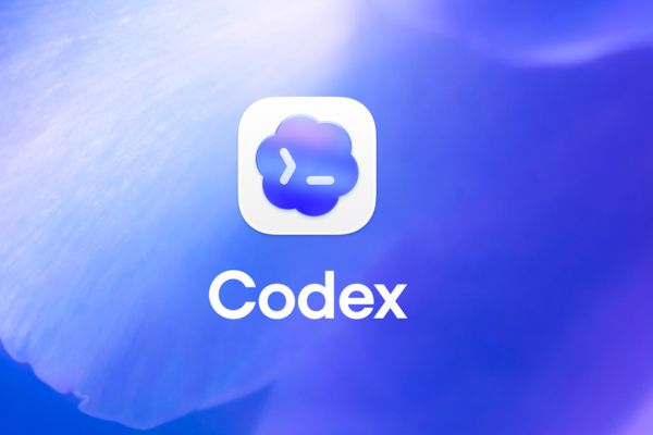 Ứng dụng Codex trên Windows