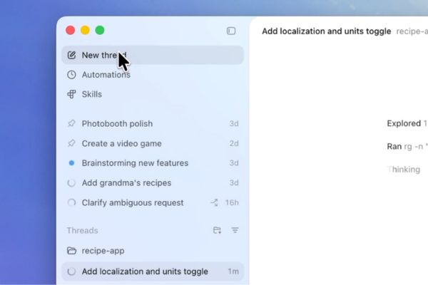 Codex Windows interface