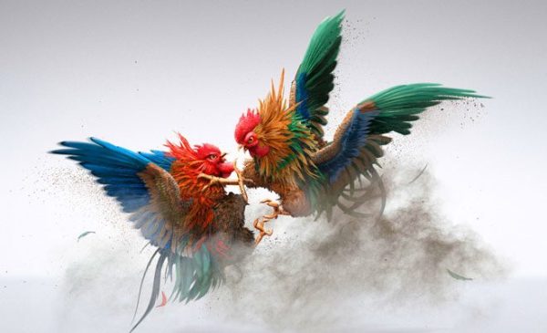 Trải nghiệm theo dõi trận đấu