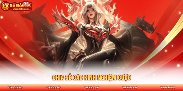 Chia sẻ các kinh nghiệm cược