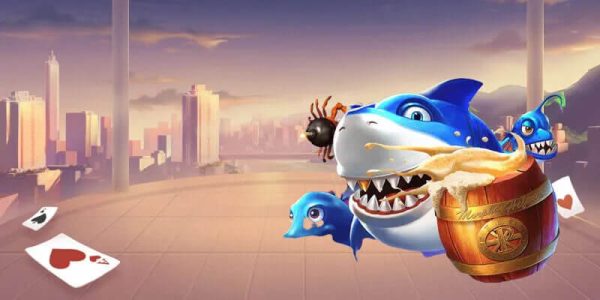 Học hỏi từ cộng đồng và phản hồi thực tế