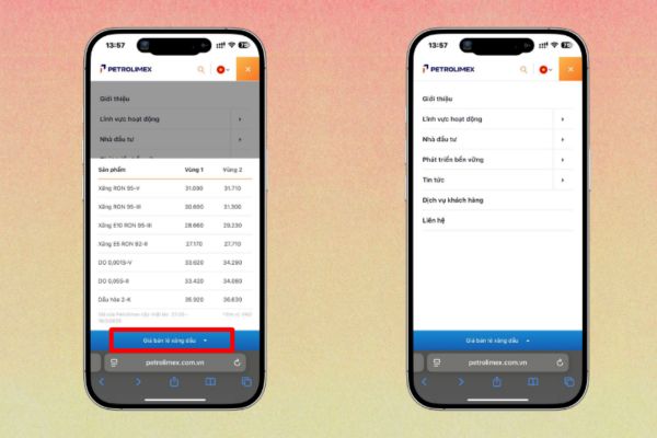 Hướng dẫn xem giá xăng hôm nay nhanh nhất 6 Tra cứu giá bán lẻ nhiên liệu trên nền tảng Petrolimex
