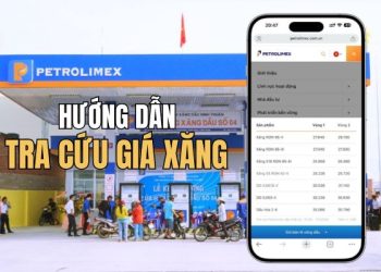 Hướng dẫn xem giá xăng hôm nay nhanh nhất 7
