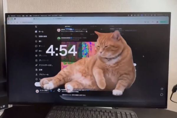 Cat Gatekeeper: Cat gatekeeper utility, uniquely helps to “quit” social networks