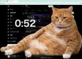 Cat Gatekeeper
