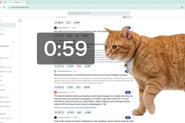 Khám phá cơ chế hoạt động của Cat Gatekeeper