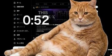 Cat Gatekeeper