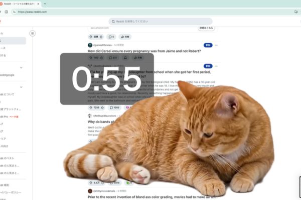 Hướng dẫn cài đặt và sử dụng Cat Gatekeeper