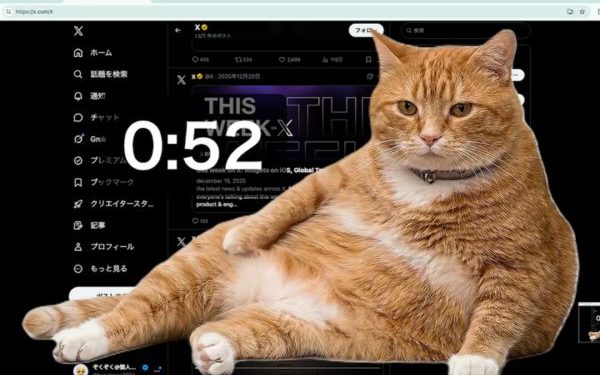 Cat Gatekeeper