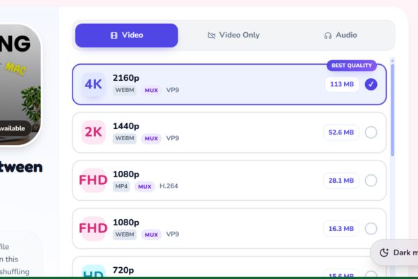 Snapvie: Công cụ tải video YouTube 8K, không cần cài đặt 9 Chọn định dạng và độ phân giải