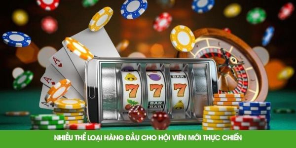 Nhiều thể loại hàng đầu cho hội viên mới thực chiến