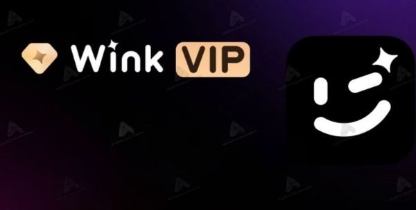 What features does Wink VIP have that is different from the Free version?