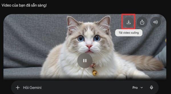 Tap the download icon